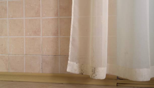 Best Asbestos and Lead Testing During Mold Inspection  in Grayling, MI