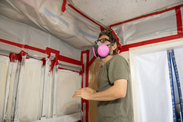Best Mold Prevention Services  in Grayling, MI