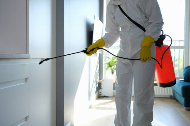 Best HVAC Mold Inspection and Cleaning  in Grayling, MI