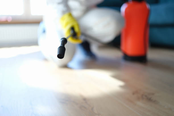 Forensic Mold Investigation in Grayling, MI