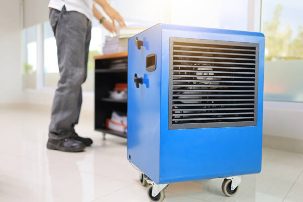 Best Black Mold Removal  in Grayling, MI