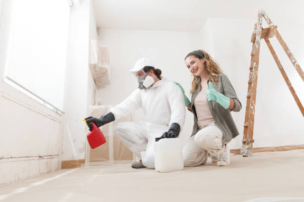 Trusted Grayling, MI Mold Removal Experts