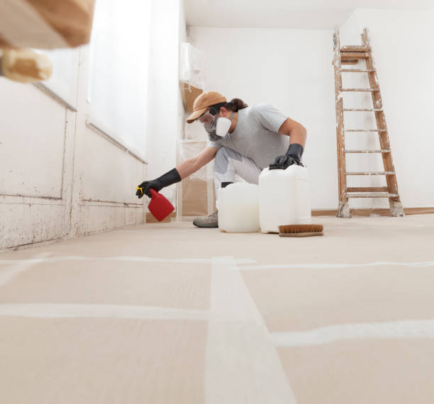 Best Industrial Mold Remediation  in Grayling, MI