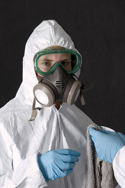 Best Asbestos and Lead Testing During Mold Inspection  in Grayling, MI